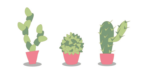 vector illustration set of stylized indoor cacti. Succulents in coral pots