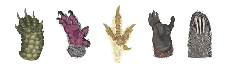 Animal Paw and Animalistic Pets Claw Vector Set