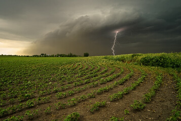 Lightning in tornado alley