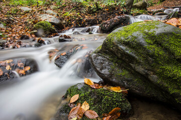 Mountain stream in autumn, stream in the forest.