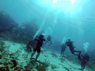 Fototapeta na wymiar SCUBA divers on a sandy bottom off the coast of Utila, Honduras