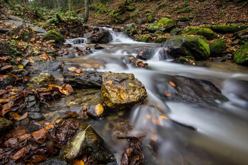 Mountain stream in autumn, stream in the forest.