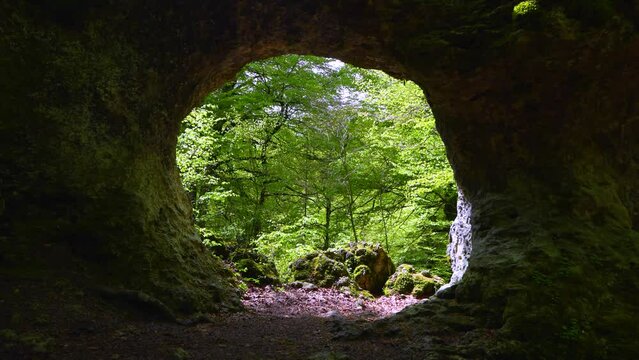 Beech forest in spring in the Natural Arch of the Labyrinth of Katarri in the Sierra de Entzia. Alava province. Basque Country, Spain, Europe