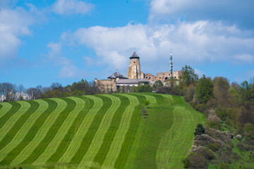 Fototapeta na wymiar Europe, Slovakia, Stara Lubovna, Altlublau - castle and Perfectly striped freshly mowed grass meadow in spring.
