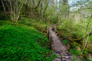 Wooden plank walking paths in the forest. Gauja National Park, Sigulda