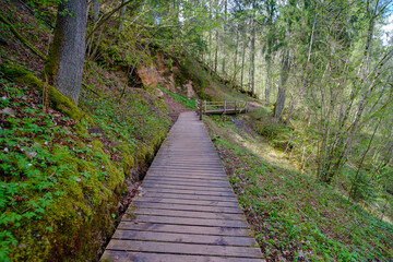 Wooden plank walking paths in the forest. Gauja National Park, Sigulda