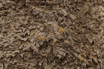 Background of old hardened cement covered with yellow moss