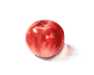 Watercolor red apple isolated on white background. Hand drawn illustration.