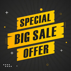 Big sale banner special offer template tag Vector Image