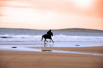 silhouette of a horse and rider galloping on ballybunion beach at sunset in kerry ireland