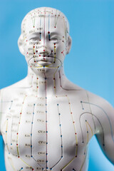 A figure with meridian channels and acupuncture points