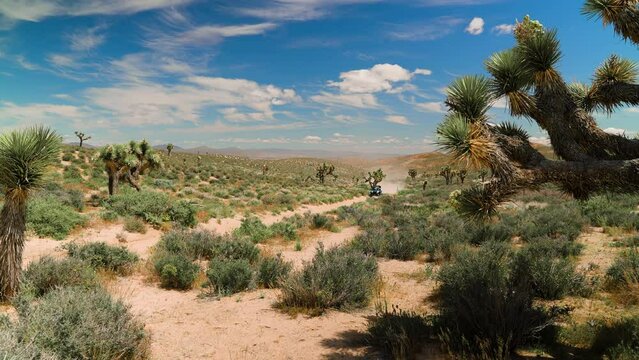 UTV Driving in the desert trails