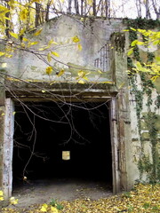 Ruins of an old abandoned warehouse in the forest department