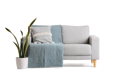 Cozy grey sofa with cushion and houseplant isolated on white background