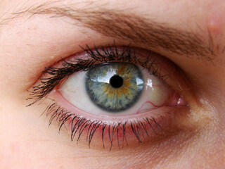 Beautiful eyes of young girl the big plan