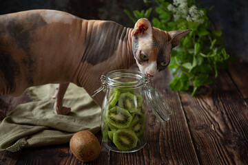 Slices of kiwi in glass bottle on dark background 