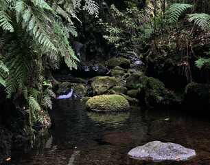 Quelle am Beginn der Levada Do Rei auf Madeira, Portugal