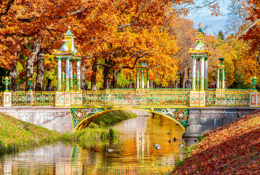 Chinese bridge in autumn in Alexander park, Pushkin (Tsarskoe Selo), St. Petersburg, Russia