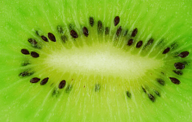 Kiwi fruit macro shot - fresh green background