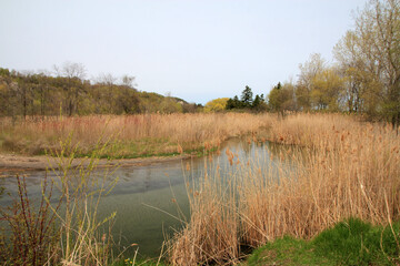 Spring landscape with lake and bluffs