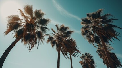 Fototapeta na wymiar Palm trees swaying in the gentle breeze against a clear blue sky Generative AI