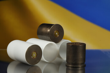 Solidarity in Action: American Support for Ukraine