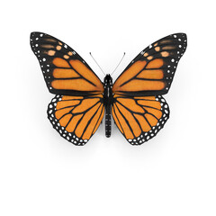 Fototapeta na wymiar Monarch butterfly on the top scene or side preview