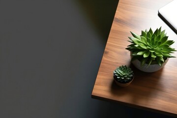 Minimalist Laptop Table: Succulent Plant. Generative AI
