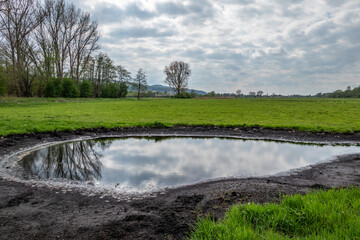 Bog  Grosses Torfmoor in Germany.