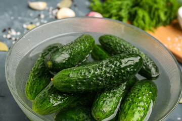 Bowl with fresh cucumbers for preservation on table, closeup