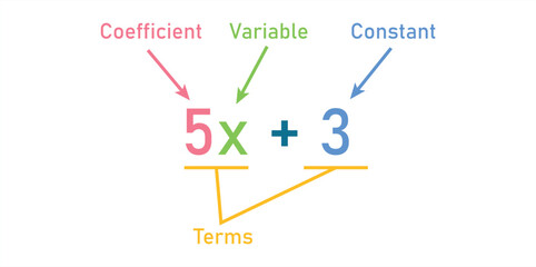Algebraic expressions parts in mathematics. Coefficient, variable, constant and terms. Parts of an expression. Math resources for teachers.