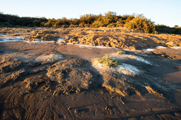 Semi desert environment landcape, La Pampa province, Patagonia, Argentina.