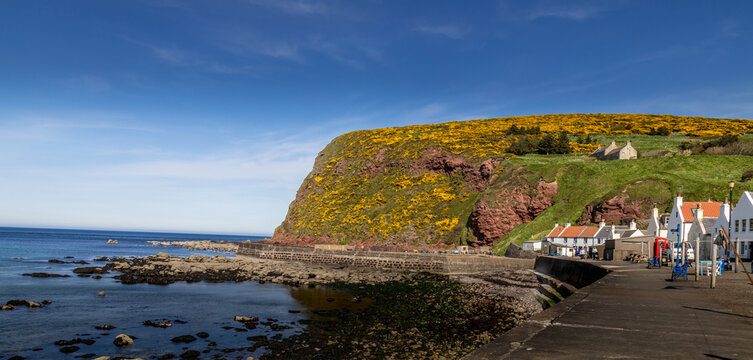 Pennan. The famous east coast of Scotland village where the iconic movie Local Hero was filmed.  Colourful houses along the coast of Scotland in spring sunshine with green cliffs as a backdrop 