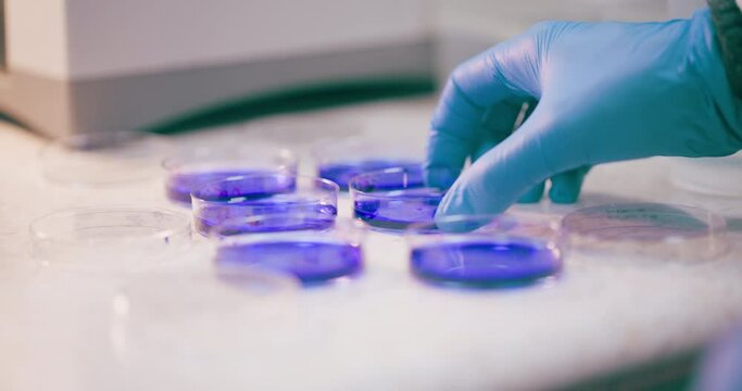 Scientist Working in Medical Laboratory Cancer Research Covic 19 Pandemic
