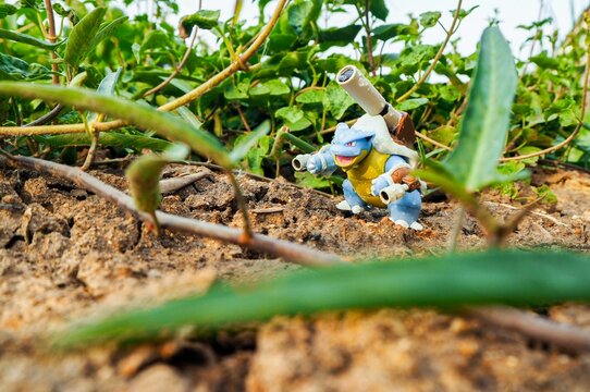 May 11 2023 - Figure   Kamex (Blastoise) Pokemon - Toy Photography - Blastoise is walking through the forest in the rain.