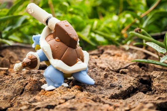 May 11 2023 - Figure  Pokemon - Toy Photography - Blastoise is walking through the forest in the rain.