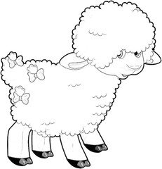 sketch cartoon scene with funny looking farm sheep smiling illustration for children