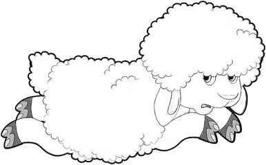 sketch cartoon scene with funny looking farm sheep smiling illustration for children