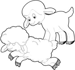 sketch cartoon scene with funny looking farm sheep smiling illustration for children