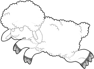 sketch cartoon scene with funny looking farm sheep smiling illustration for children