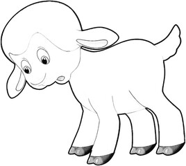 sketch cartoon scene with funny looking farm sheep smiling illustration for children
