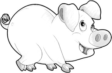 sketch cartoon scene with happy farm pig smiling illustration for children