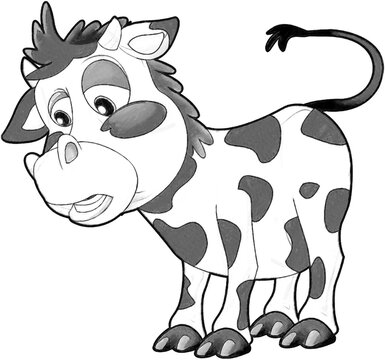 sketch cartoon scene with funny looking cow calf illustration for children