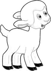 sketch cartoon scene with funny looking farm sheep smiling illustration for children