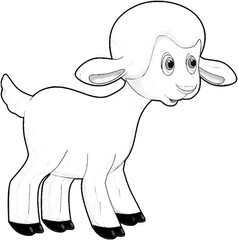 sketch cartoon scene with funny looking farm sheep smiling illustration for children