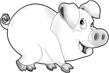sketch cartoon scene with happy farm pig smiling illustration for children