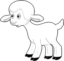 sketch cartoon scene with funny looking farm sheep smiling illustration for children