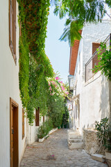 Fototapeta na wymiar Narrow street in old european town in summer sunny day. Beautiful scenic old ancient white houses, cafe and shops with green plants. Popular tourist vacation destination, mediterranean architecture