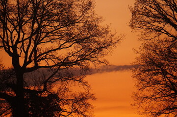 silhouette at sunset