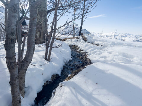 A small stream on the mountain